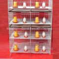 used poultry equipment baby poultry cage for sale